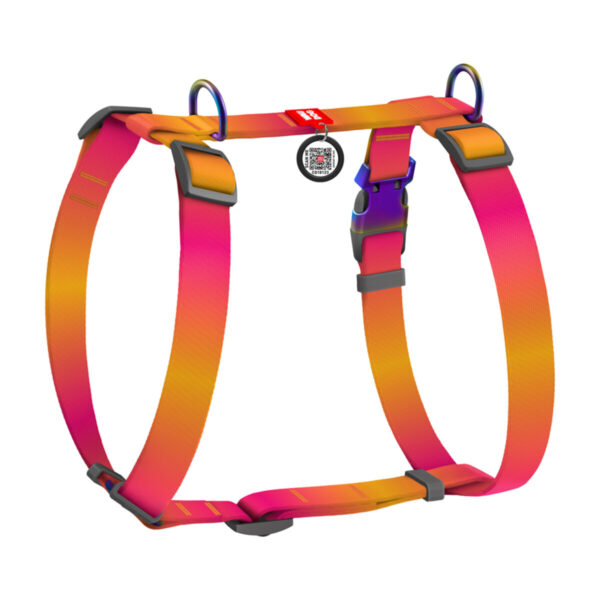 WAUDOG DOG H-HARNESS WITH QR-PASSPORT - Рециклиран нагръдник за куче със SMART ID виртуален паспорт при изгубване - Image 3