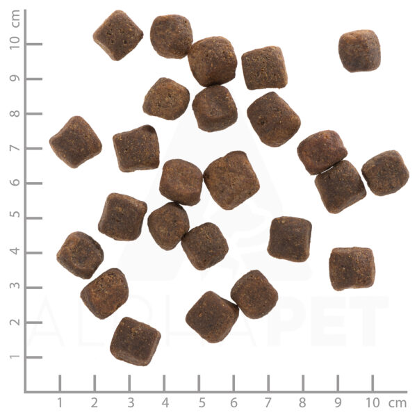 WOLFSBLUT DARK FOREST ADULT GRAIN FREE - Суха храна БЕЗ ЗЪРНО с еленско месо и сладки картофи 12.5кг (Копие) - Image 3