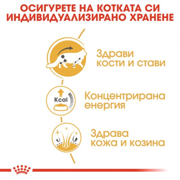 ROYAL CANIN Maine Coon pouch - Мейн Кун  пауч 85гр - Image 4