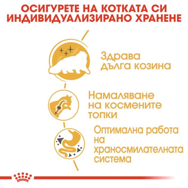 ROYAL CANIN PERSIAN POUCH - Пауч за Персийка - Image 3
