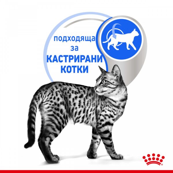 Royal Canin Indoor Sterilised Pouch Jelly - Пауч за кастрирани котки отглеждани на закрито 85гр - Image 4