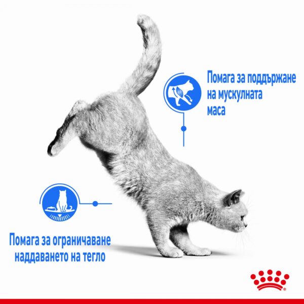 Royal Canin Light Weight Care - Пауч за котки с наднормено тегло 85гр - Image 5