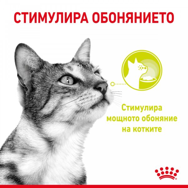 Royal Canin Sensory Taste Gravy - Пауч хапки в сос за котки в зряла възраст 85гр - Image 2
