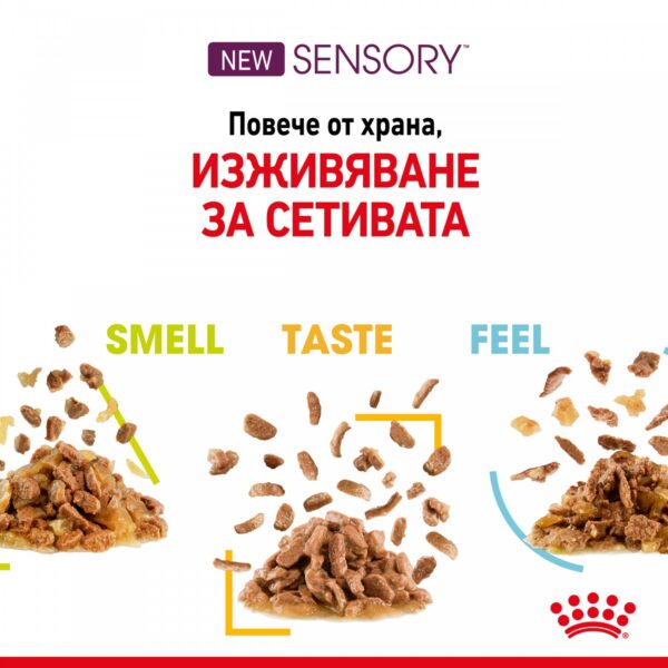 Royal Canin Sensory Taste Gravy - Пауч хапки в сос за котки в зряла възраст 85гр - Image 4