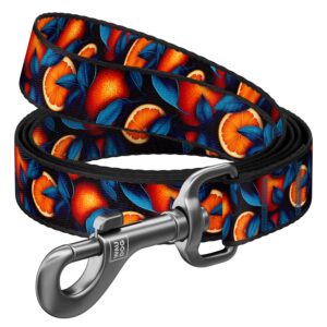 WAUDOG Oranges - Повод за куче