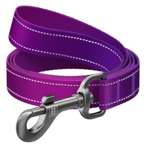 WAUDOG Nylon Mono - повод за куче