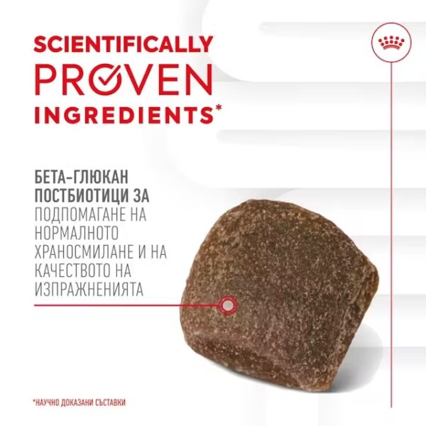 ROYAL CANIN DIGESTION CHEWS - Добавка за добро храносмилане - Image 5