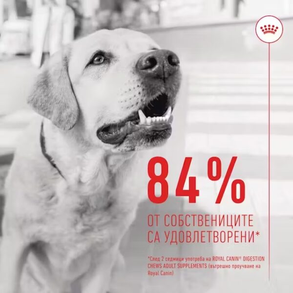 ROYAL CANIN DIGESTION CHEWS - Добавка за добро храносмилане - Image 3
