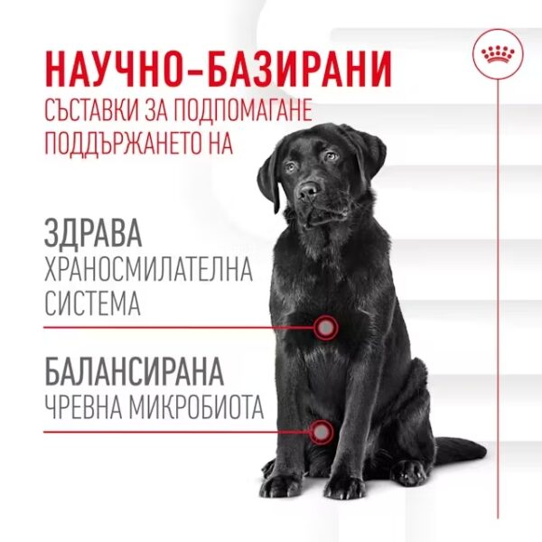 ROYAL CANIN DIGESTION CHEWS - Добавка за добро храносмилане - Image 4