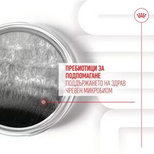 ROYAL CANIN DIGESTION CHEWS - Добавка за добро храносмилане