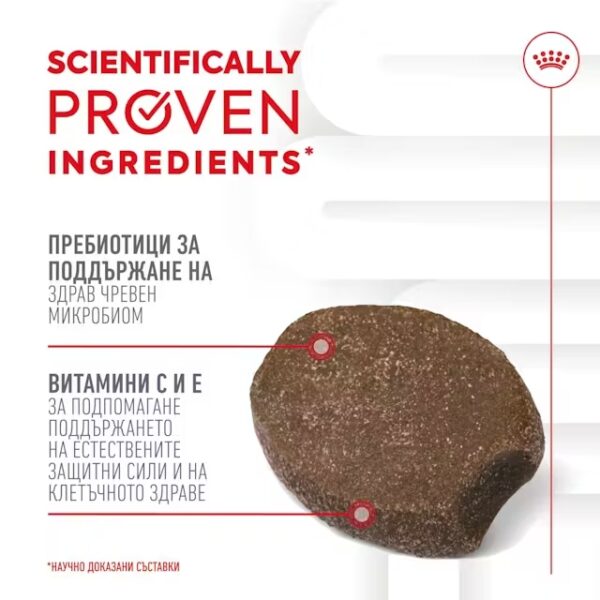 ROYAL CANIN IMMUNITY & DIGESTION CHEWS - ХРАНИТЕЛНА ДОБАВКА - Image 3