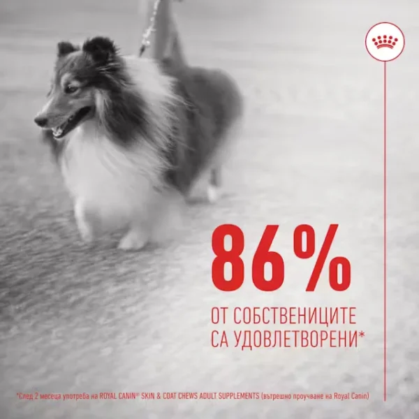 ROYAL CANIN SKIN & COAT CHEWS - Добавка за кожа и козина - Image 4