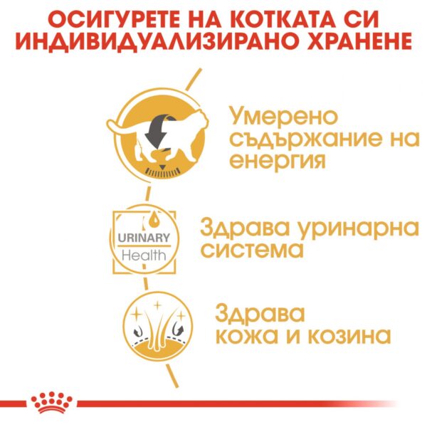 Royal Canin British Shorthair Adult – Пауч хапки в сос за котки Британka над 12 месеца 85 г - Image 3