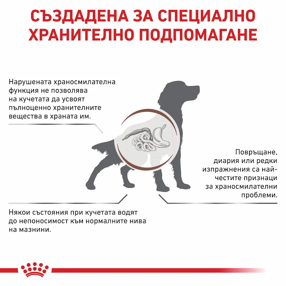 Royal Canin VHN Gastrointestinal Low Fat Dog – Пастет при Хиперлипидемия 410г - Image 2