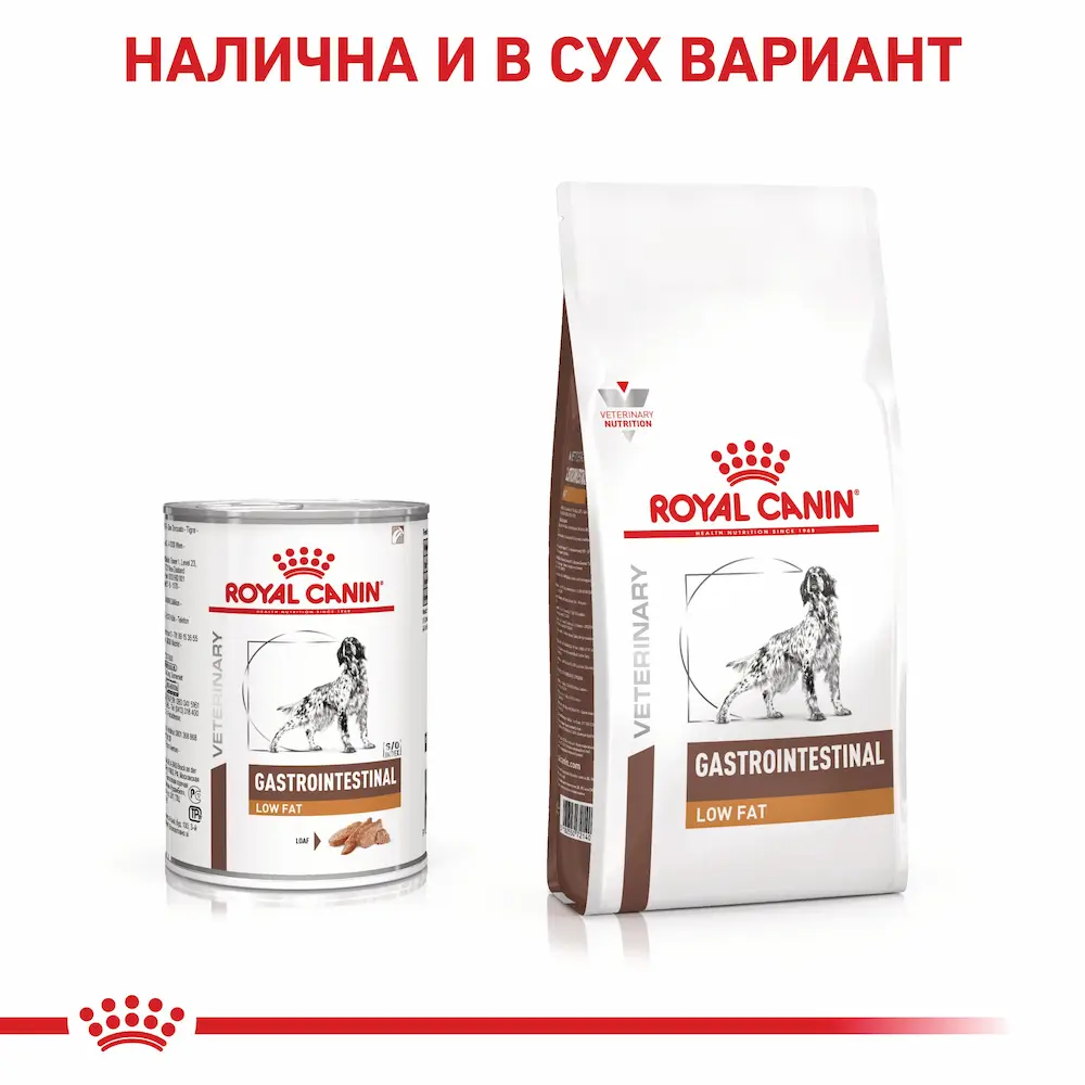 Royal Canin VHN Gastrointestinal Low Fat Dog – Пастет при Хиперлипидемия 410г - Image 5