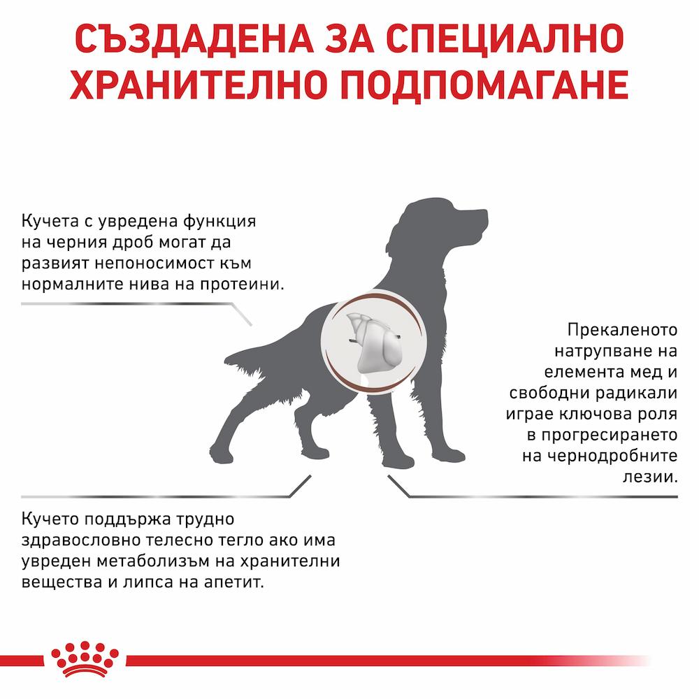 Royal Canin VHN Hepatic Dog – При Хронична Чернодробна Недостатъчност - Image 2