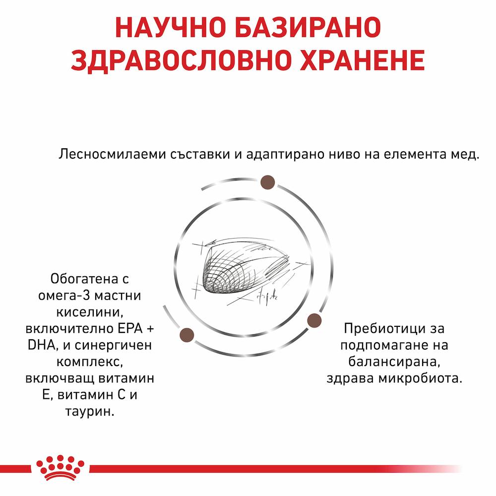 Royal Canin VHN Hepatic Dog – При Хронична Чернодробна Недостатъчност - Image 3