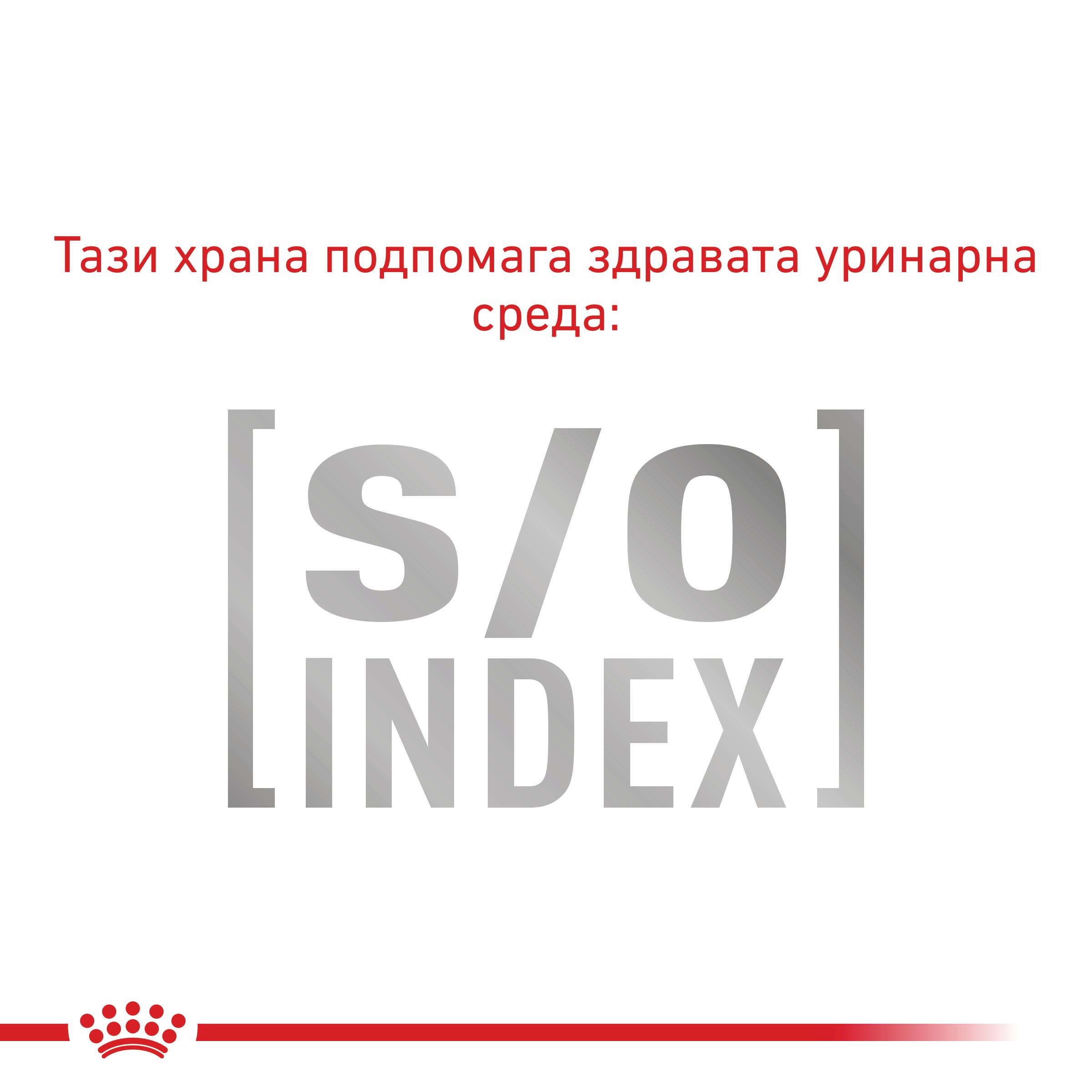 Royal Canin VHN Hypoallergenic Cat – Ветеринарна Храна за Котки с Хранителни Алергии - Image 6