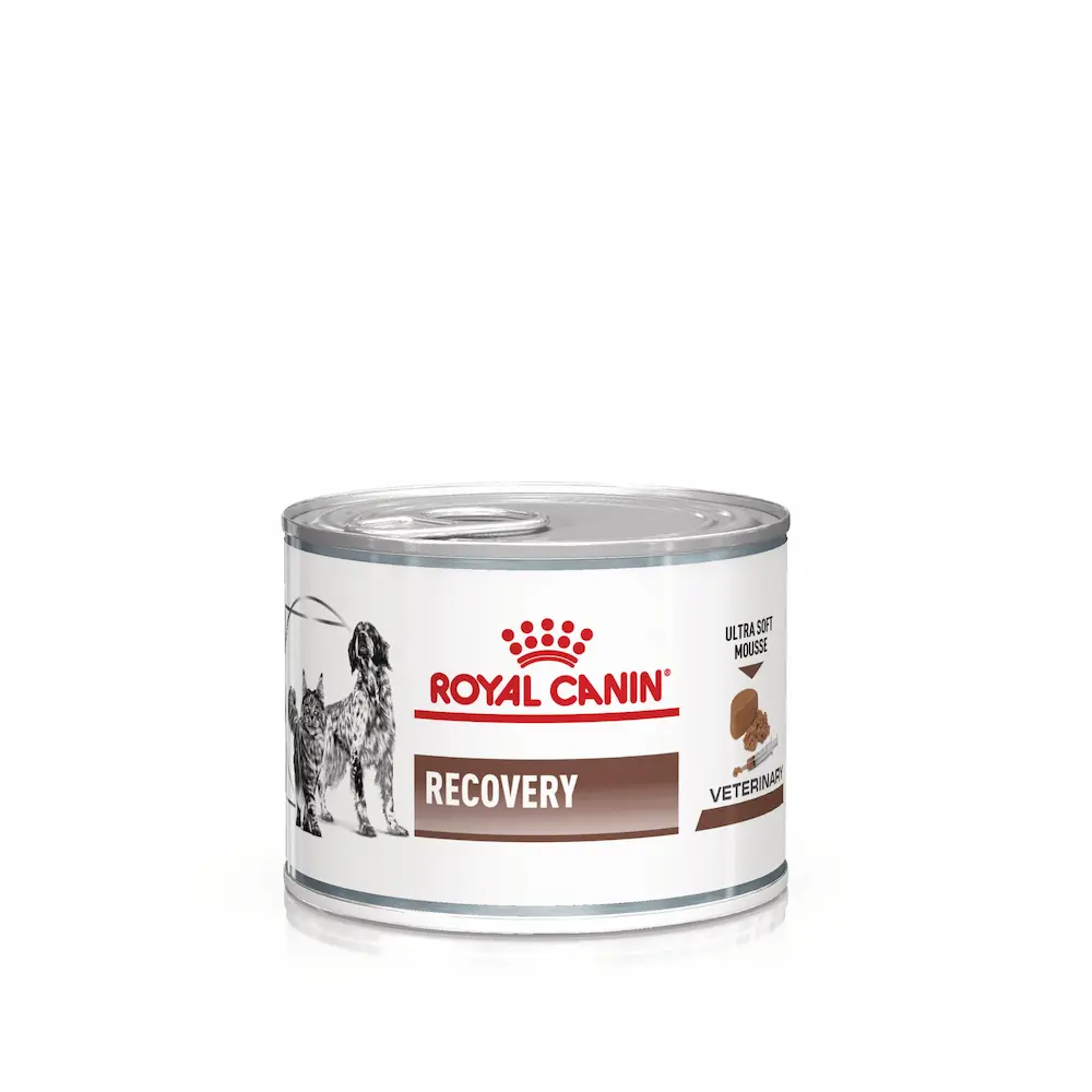 Royal Canin VHN Recovery Cat/Dog – Пастет за Възстановяване след Операция
